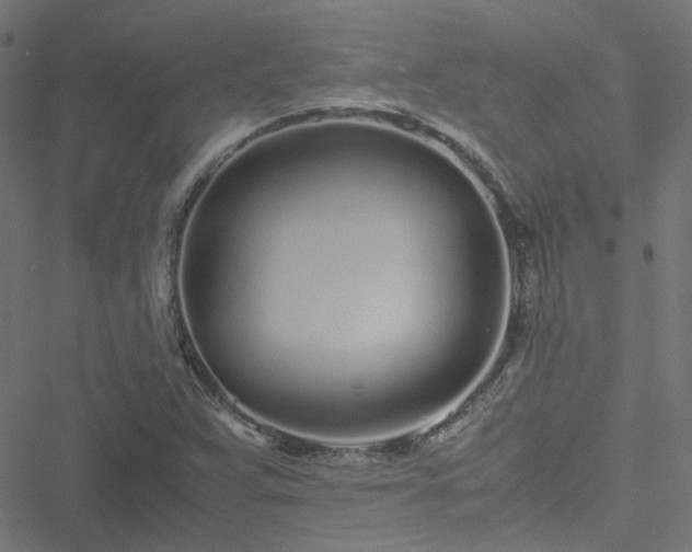 X0000051251359200506241536