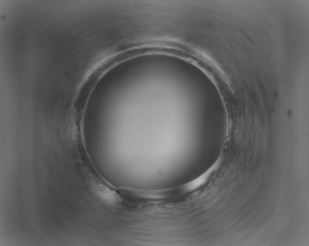 X0000051251360200506241536