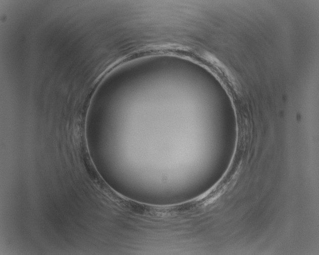 X0000051251361200506241536