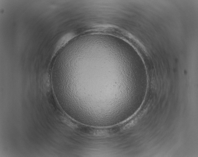 X0000051251362200506241536