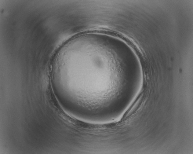 X0000051251363200506241536