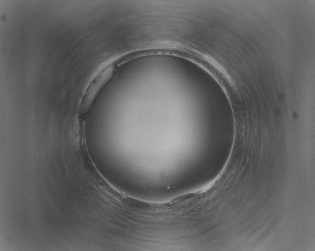 X0000051251364200506241536