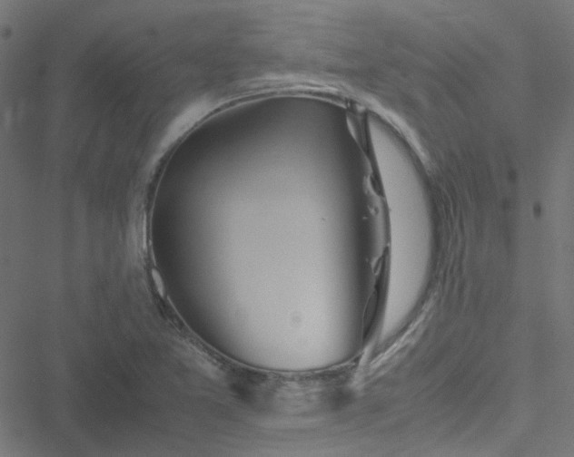 X0000051251365200506241536