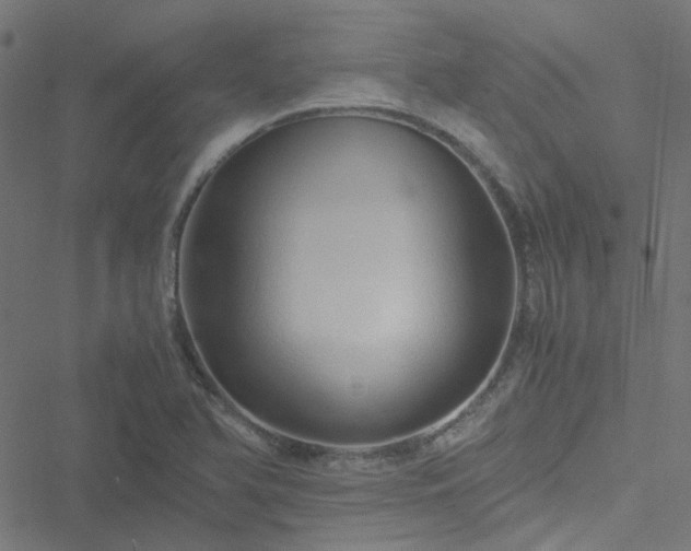 X0000051251366200506241536