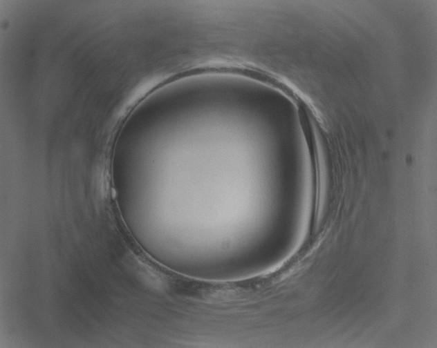 X0000051251367200506241536