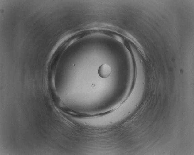 X0000051251368200506241536