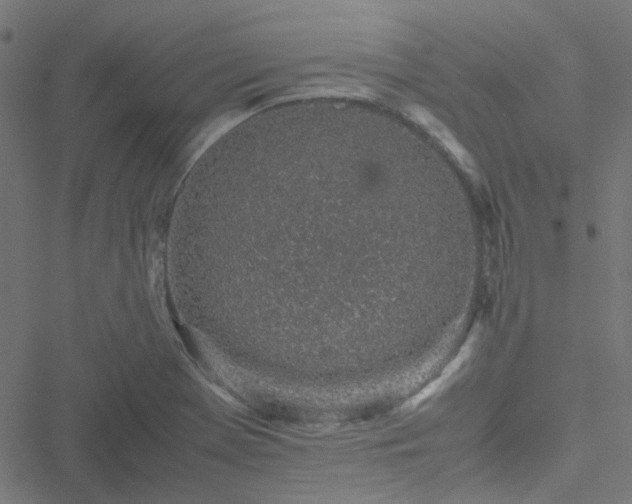 X0000051251369200506241536