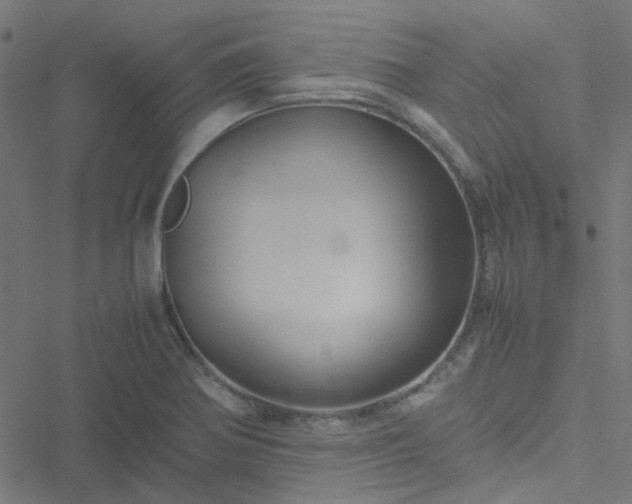 X0000051251370200506241536