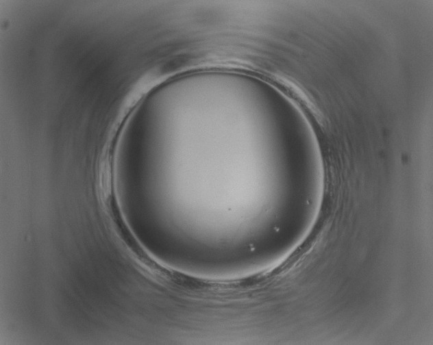 X0000051251371200506241536