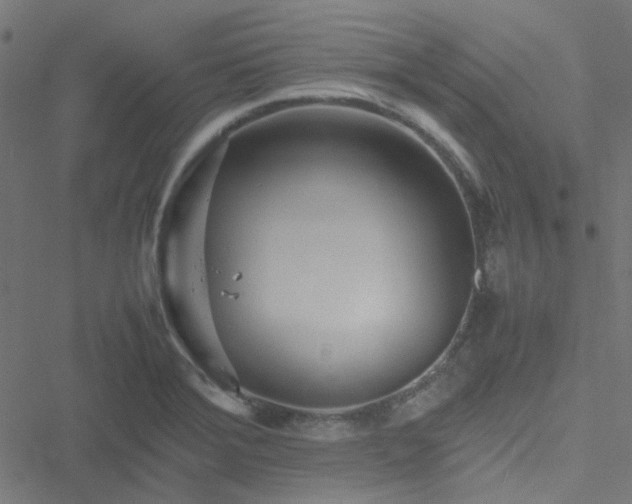 X0000051251372200506241536