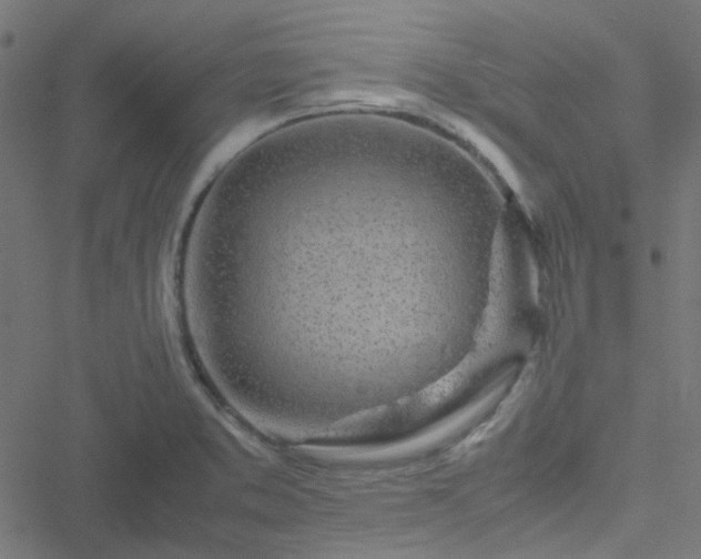 X0000051251373200506241536