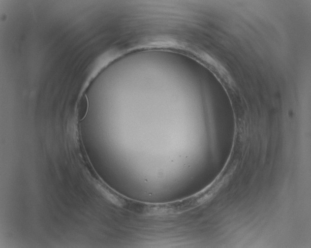 X0000051251374200506241536