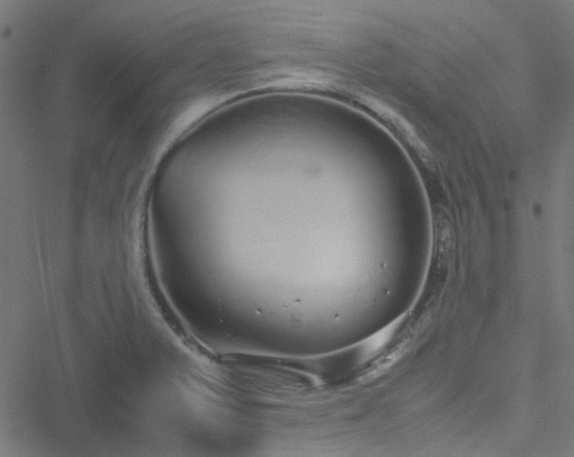 X0000051251375200506241536