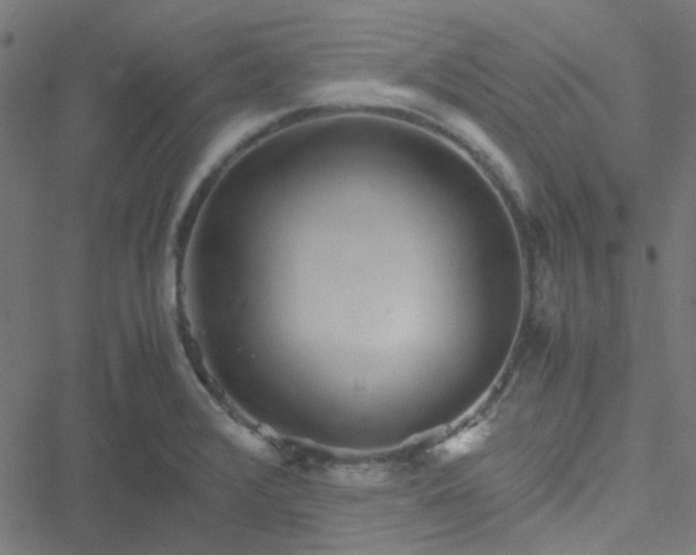 X0000051251376200506241536