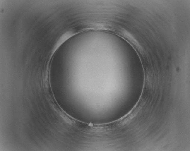 X0000051251378200506241536