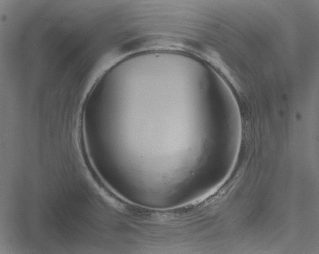 X0000051251379200506241536