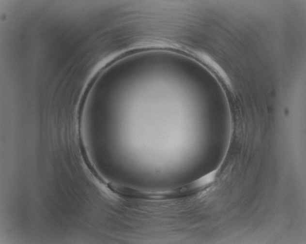 X0000051251380200506241536