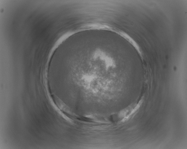 X0000051251381200506241536