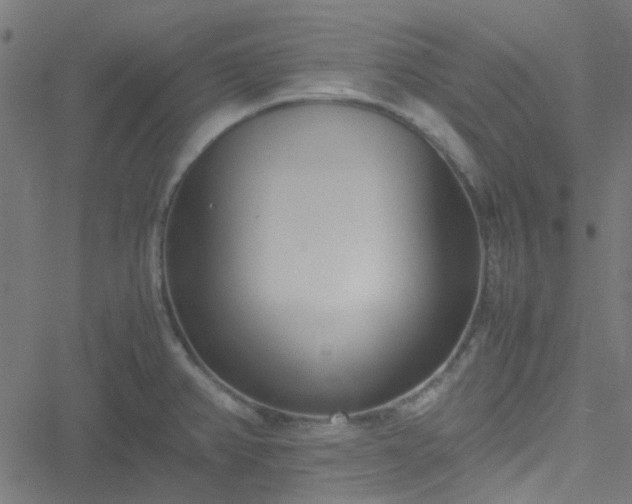 X0000051251382200506241536