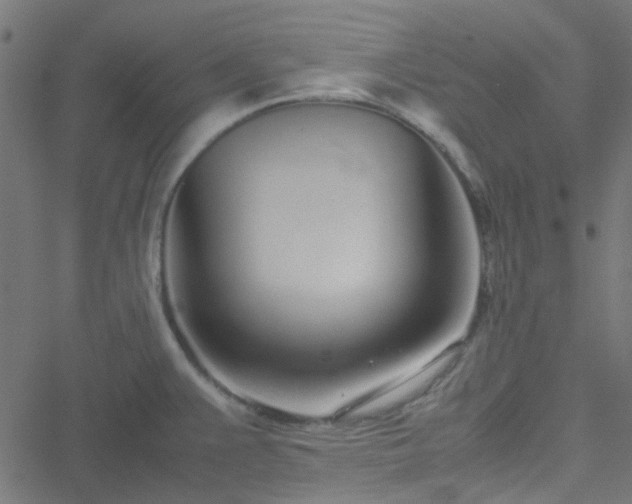 X0000051251383200506241536