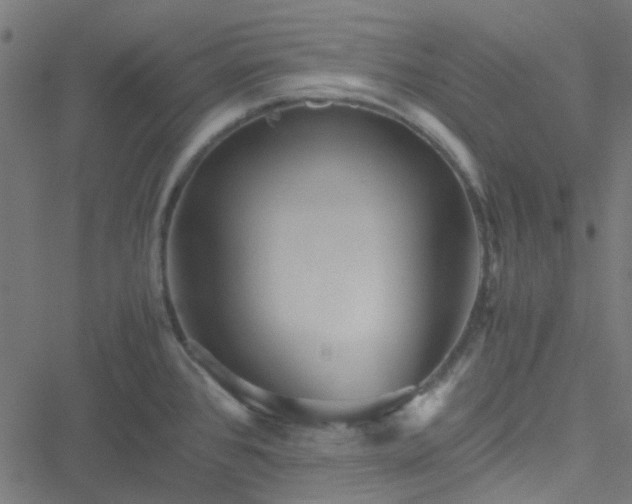 X0000051251384200506241535