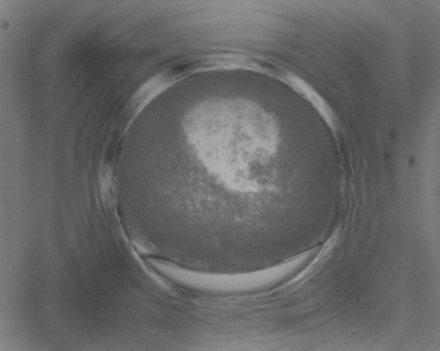 X0000051251385200506241535