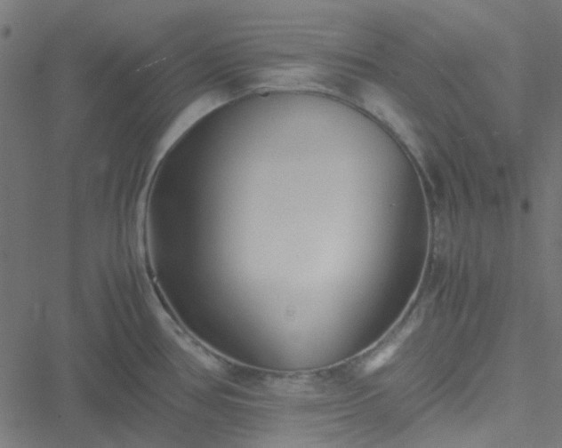 X0000051251386200506241535