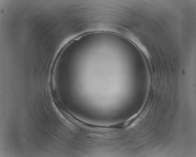 X0000051251388200506241535