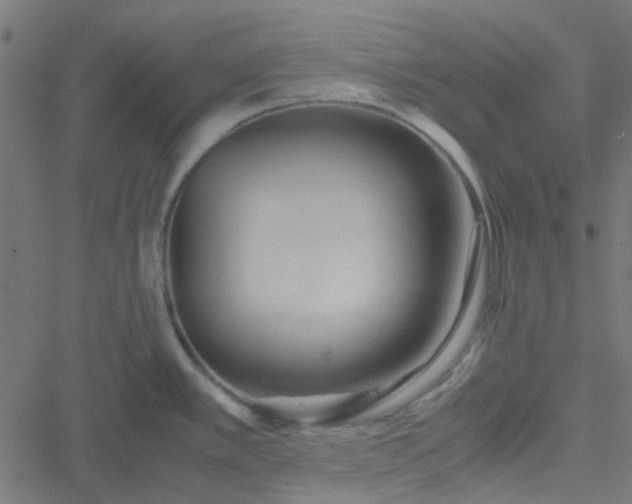 X0000051251389200506241535