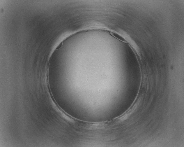 X0000051251390200506241535