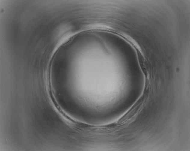 X0000051251391200506241535