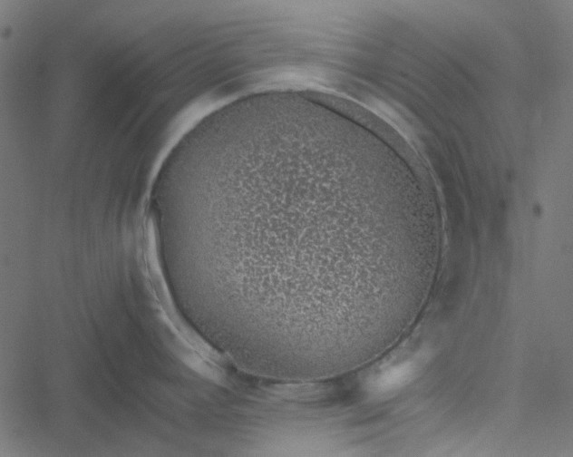 X0000051251392200506241535