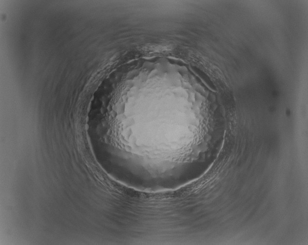 X0000051251393200506241535