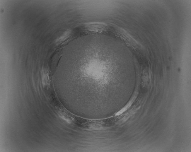 X0000051251394200506241535