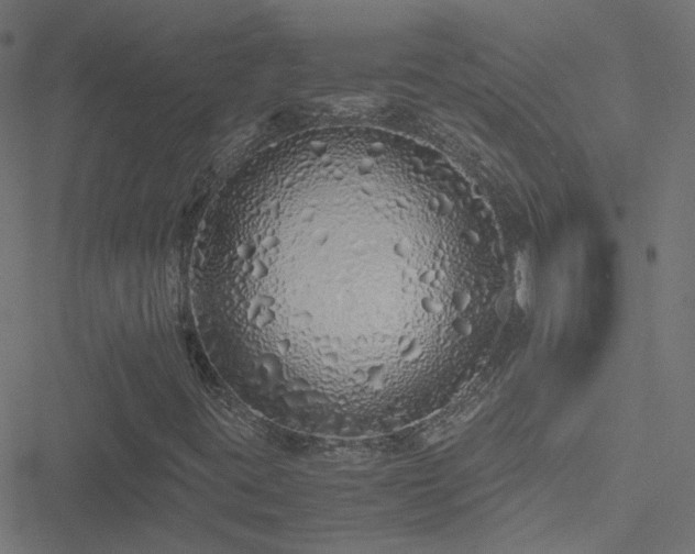 X0000051251395200506241535