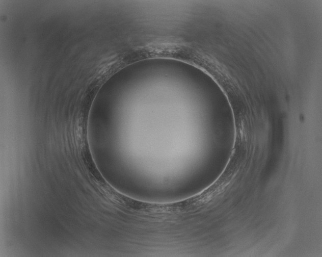 X0000051251396200506241535