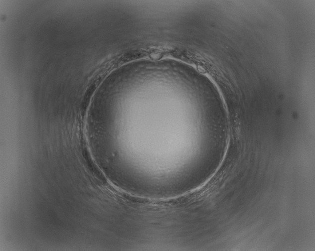 X0000051251397200506241535