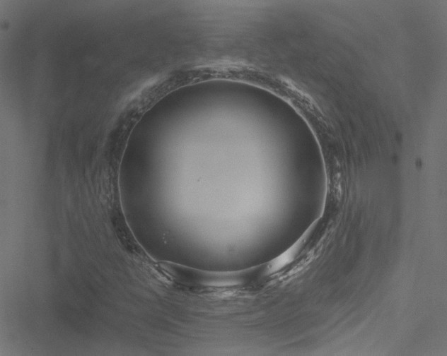 X0000051251398200506241535