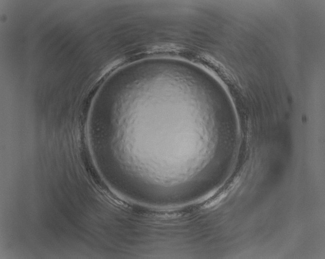 X0000051251401200506241535