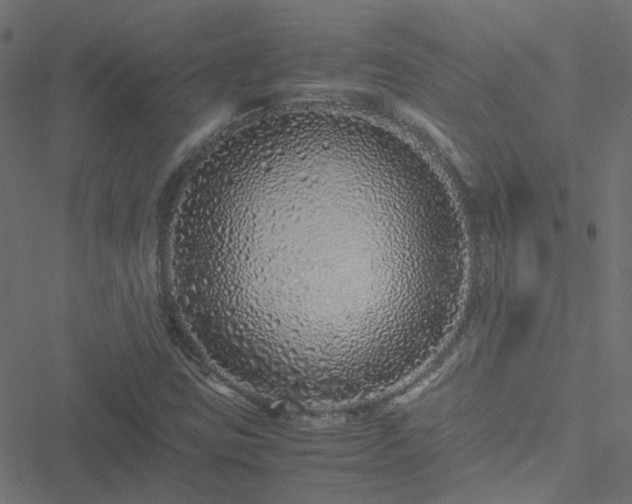 X0000051251403200506241535