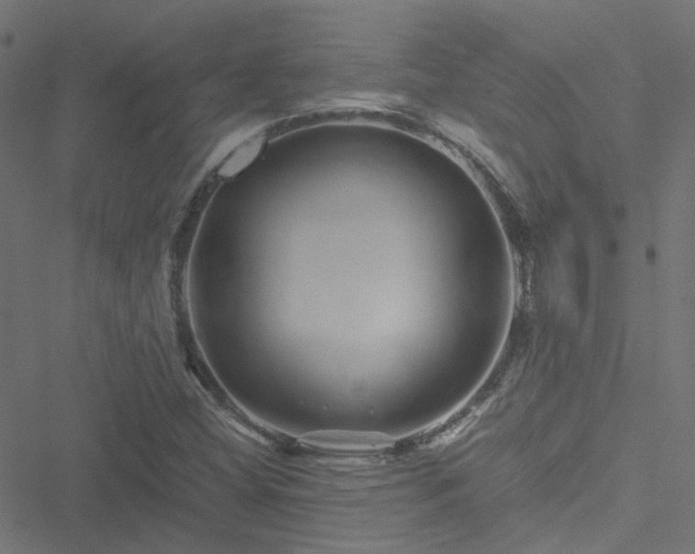 X0000051251404200506241535