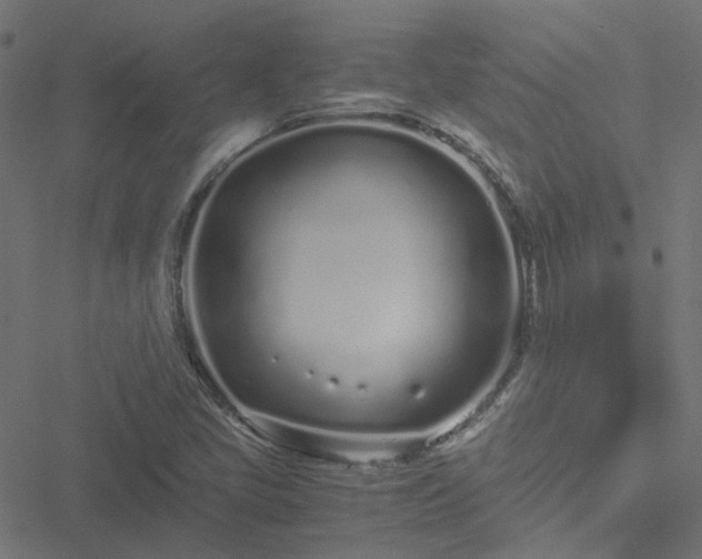 X0000051251405200506241535