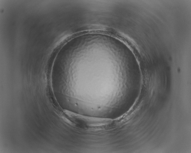 X0000051251407200506241535