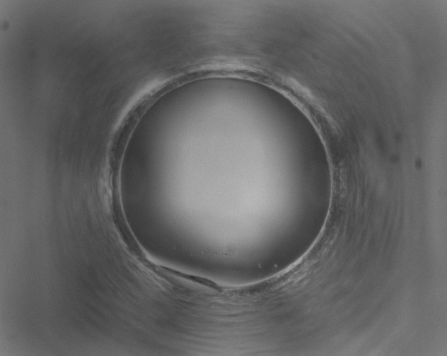 X0000051251408200506241535