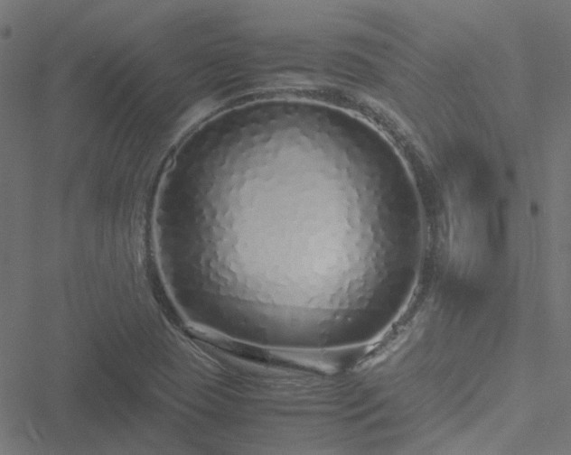 X0000051251409200506241535