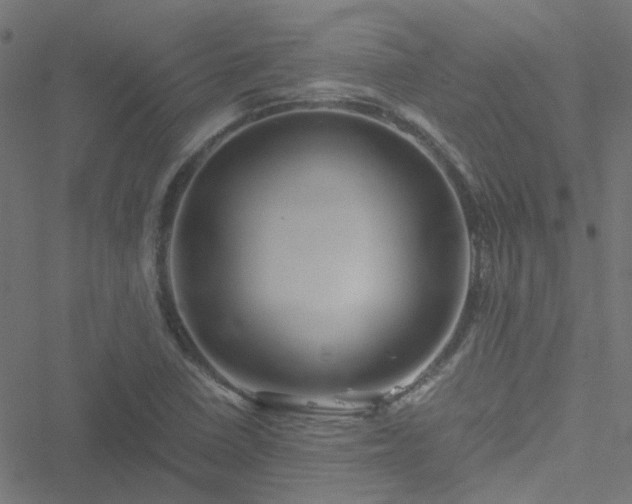 X0000051251410200506241535