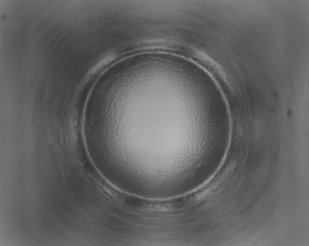 X0000051251411200506241535