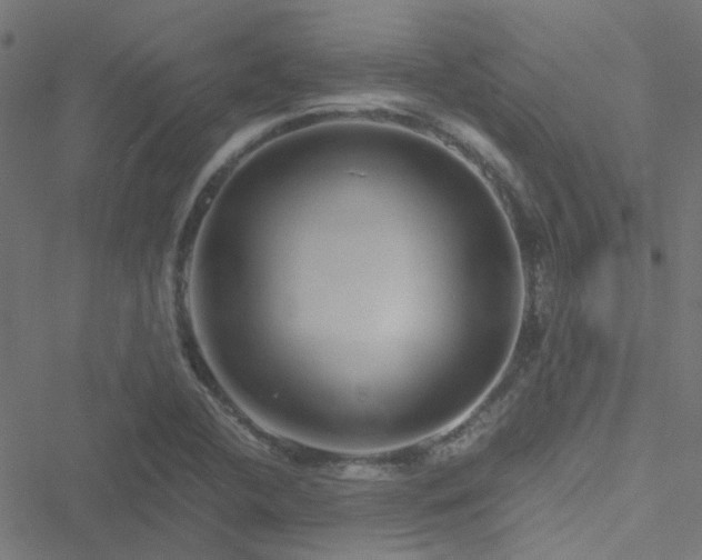 X0000051251412200506241535