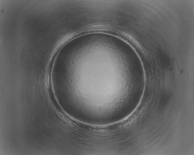 X0000051251413200506241535