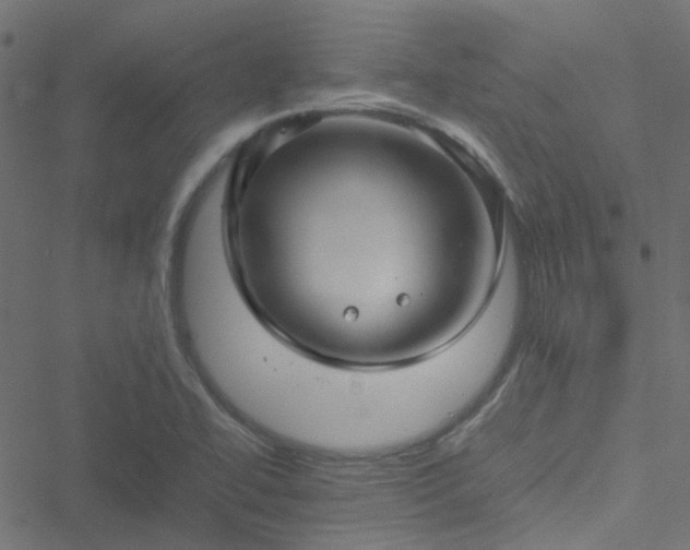 X0000051251414200506241535